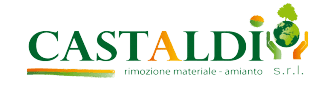 Castaldi logo