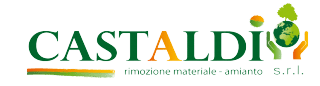 Castaldi logo